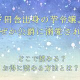 『ド田舎出身の芋令嬢、なぜか公爵に溺愛される』が読めるサイトは？